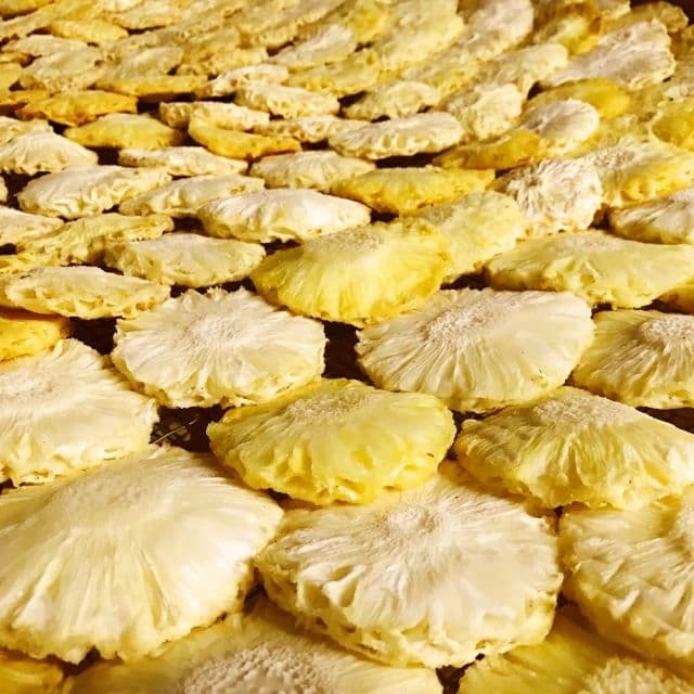 【春日小舖】無糖向日葵鳳梨花300gx3包組