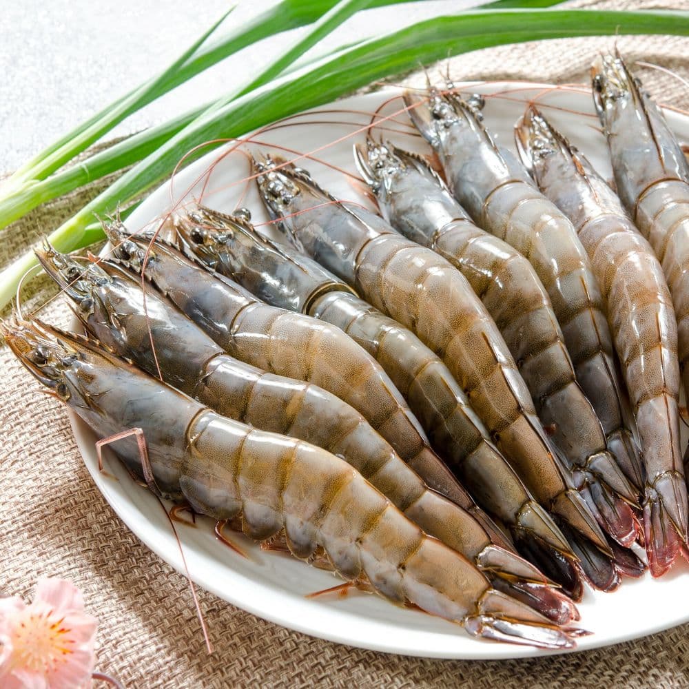 【鮮綠生活】(免運組)巨無霸無毒白蝦皇16/20(600克/約9-11尾/盒)共4盒