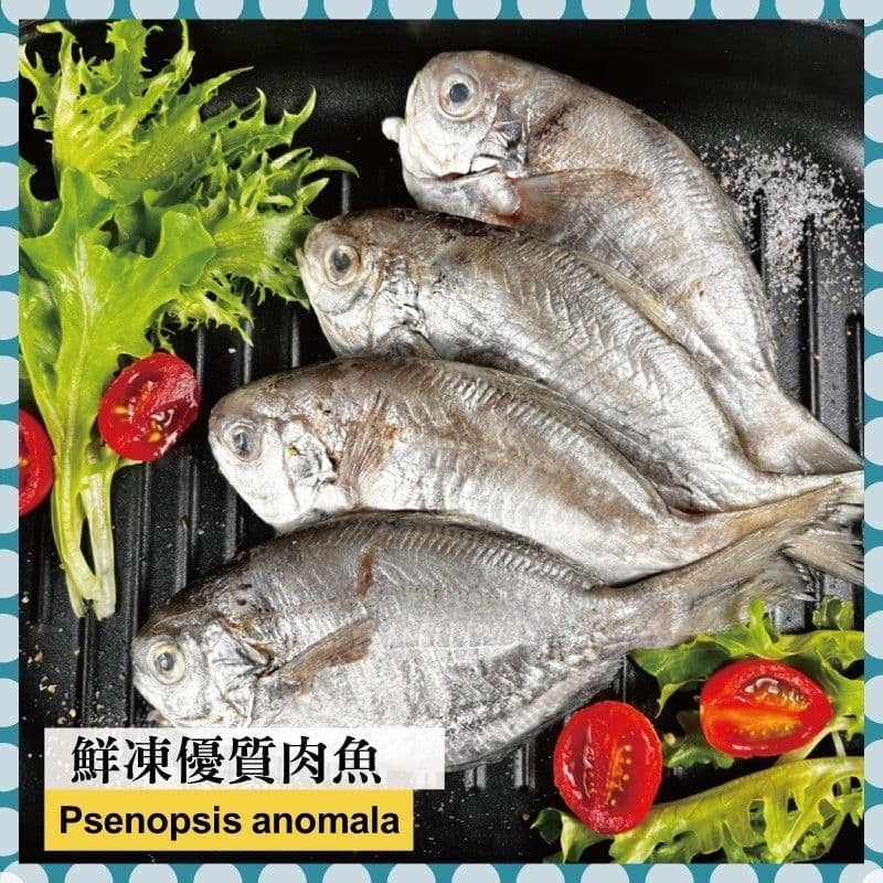 【好神】大海鮮補3S野生刺鯧4包組(4尾/包)(90g±10%/尾)