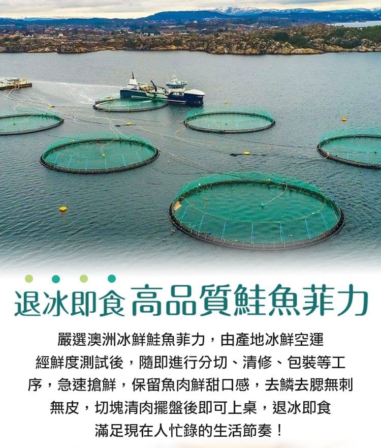 【愛上新鮮】冰鮮空運鮭魚生魚片4包(100g±10%/包 生食級)