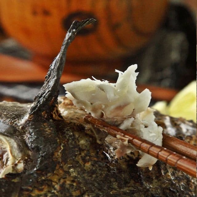 【華得水產】特大青斑石斑魚4尾(500-600g/尾)