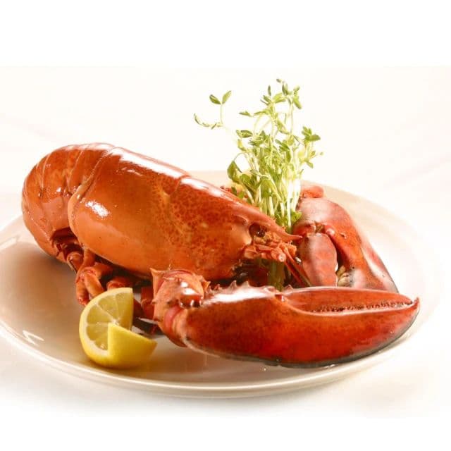 【築地一番鮮】加拿大生凍波士頓龍蝦2隻(650g/隻)