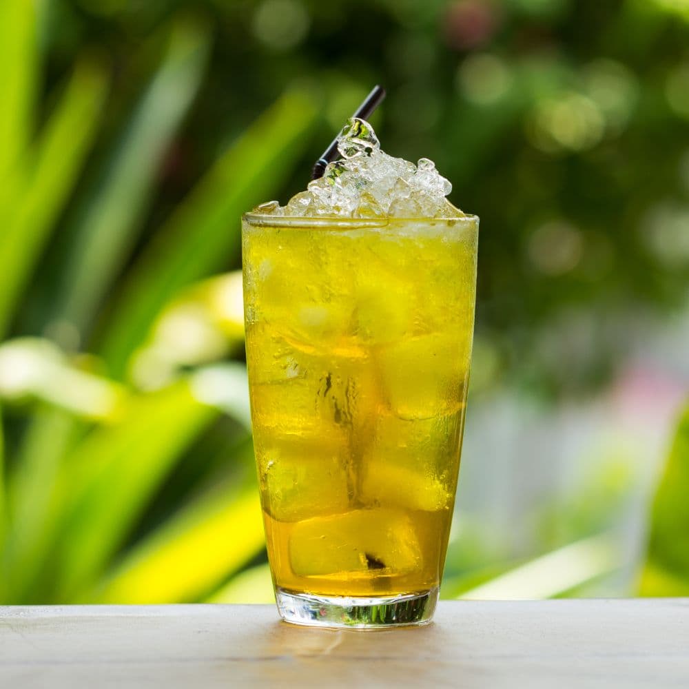 【聖德科斯鮮選】菊花冰茶_潤泉 (1000ml/瓶*六瓶組)