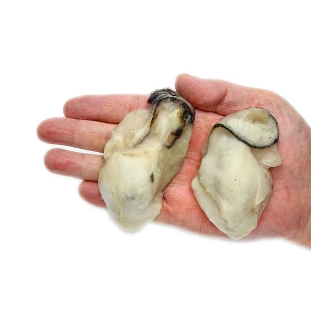 【築地一番鮮】日本2L巨無霸鮮美廣島牡蠣30顆(40g/顆)