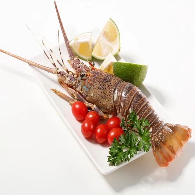 【華得水產】野生頂級龍蝦8隻組(200-250G/隻)