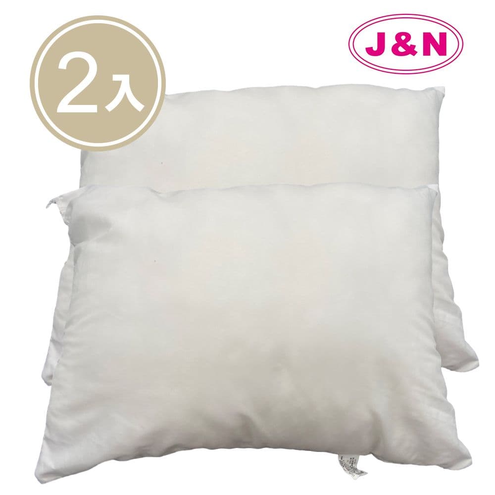 【J&N】台灣製抱枕心30*45-300克(2入/1組)