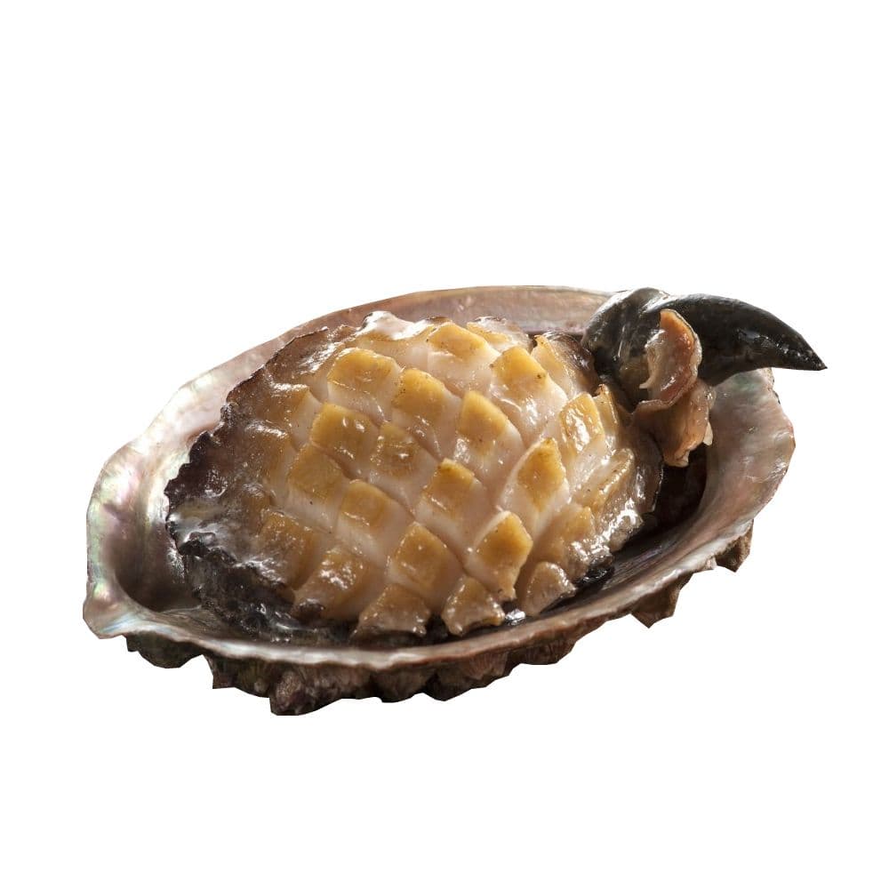 【小川漁屋】極品南非活凍帶殼鮑魚1包(500g+-10%/包)免運組