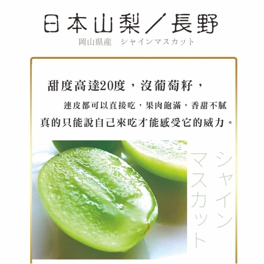 【光合果物】日本長野/山梨 麝香葡萄PC盒(350-400g/串)x2串 (含禮盒包裝)
