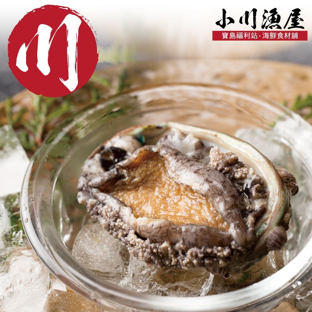【小川漁屋】極品南非活凍帶殼鮑魚1包(500g+-10%/包)免運組