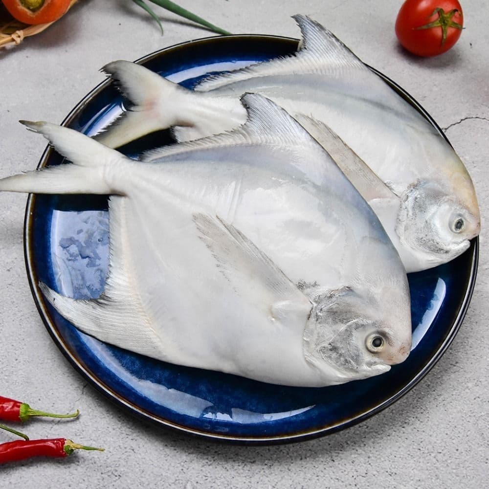 【凍凍鮮】鮮凍野生白鯧 300-350g*4入組
