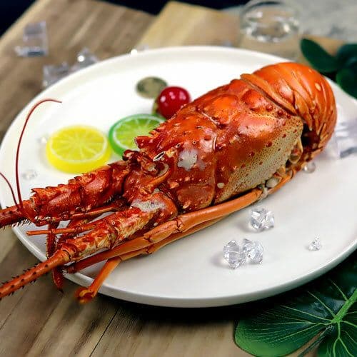 【築地一番鮮】特大野生捕撈－貝里斯之光活凍特大龍蝦１尾（900G／尾）