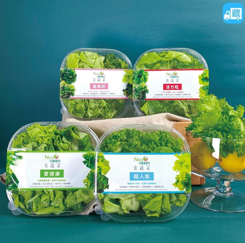 【NICE GREEn】美蔬菜盒 6入 200g【美蔬菜盒口味 各1盒】