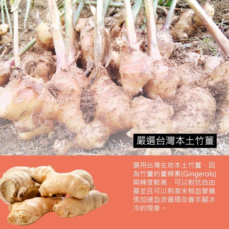 【丹尼先生】果酵豆豉辣椒醬 190ml x2入 辣椒醬 豆瓣醬 調味料