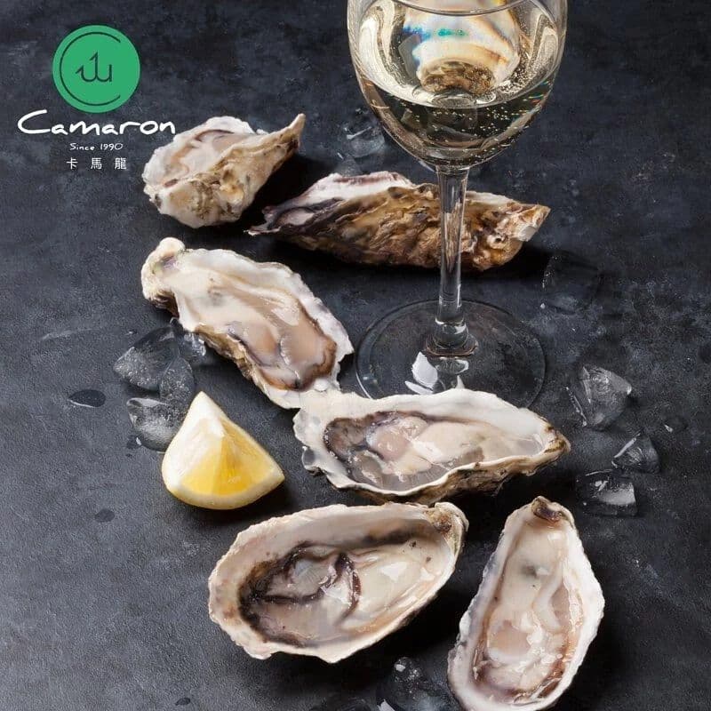 【卡馬龍】日本鮮凍全殼生蠔 L規格 1 公斤 (約7-9顆)