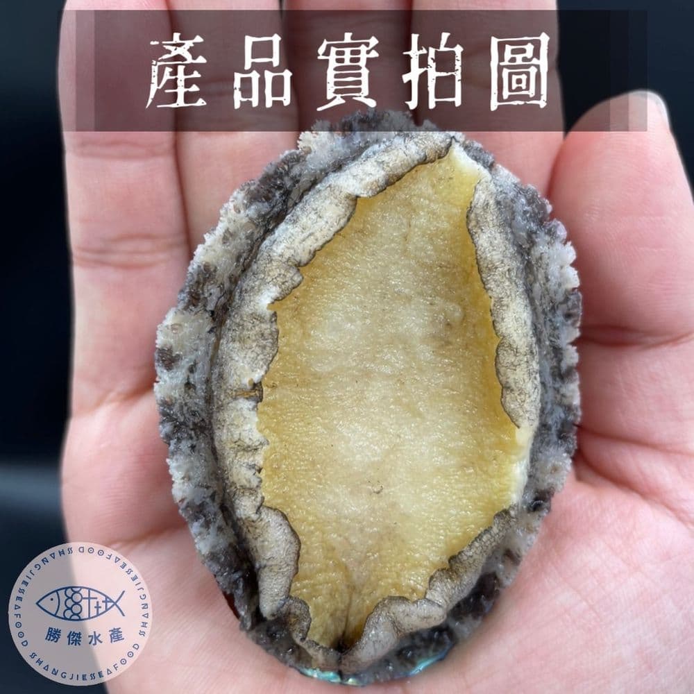 【勝傑水產】20粒帶殼鮑魚5包組(1KG/包)