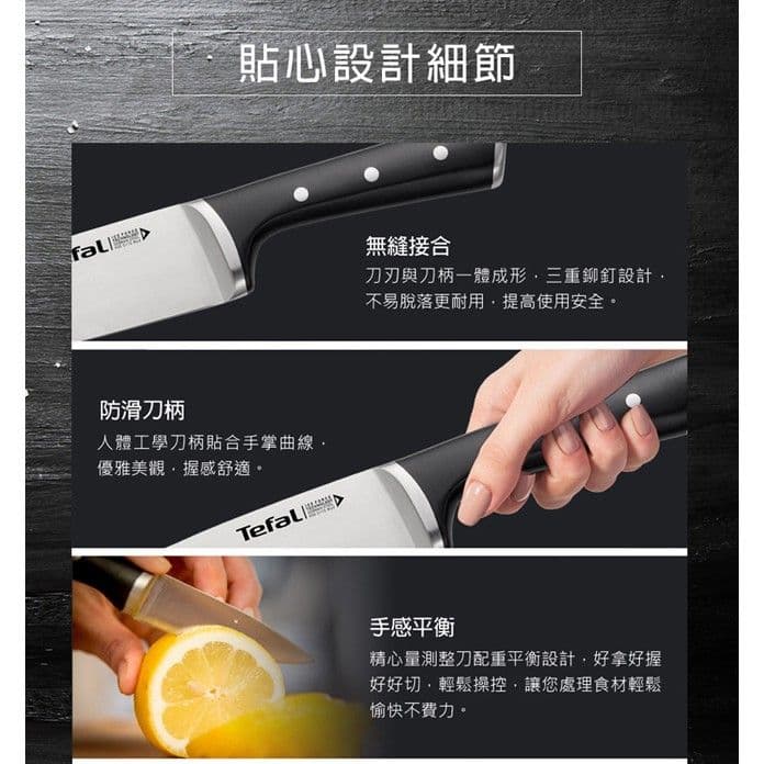 【Tefal 特福】冰鑄不鏽鋼系列主廚刀20CM SE-K2320214