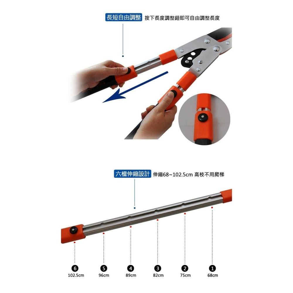 【太星電工】高碳鋼連桿式刀鉆伸縮樹枝剪 Y1Z3121TW