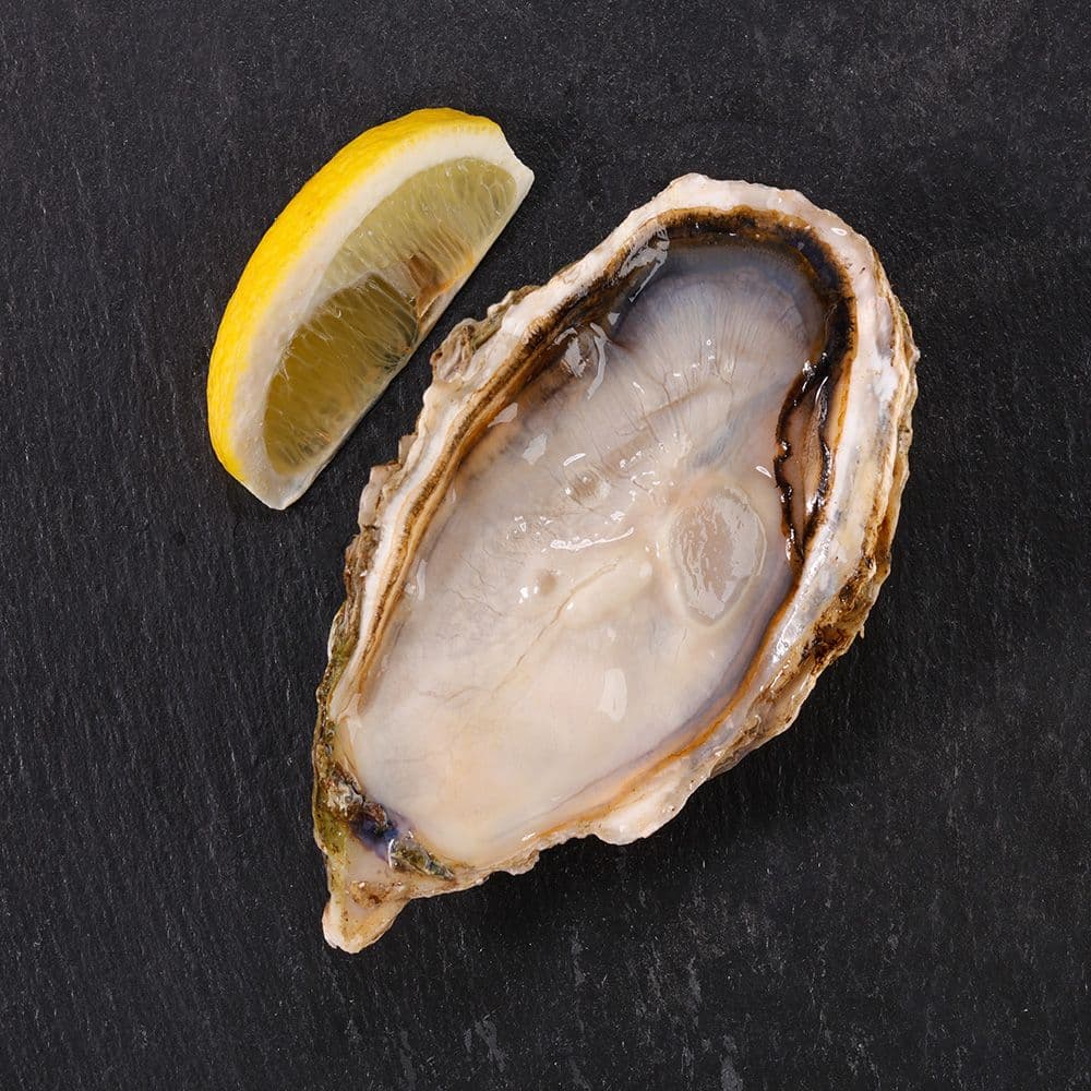 【華得水產】日本原裝巨大生蠔/全殼牡蠣4包(500g 約2-3粒/包)