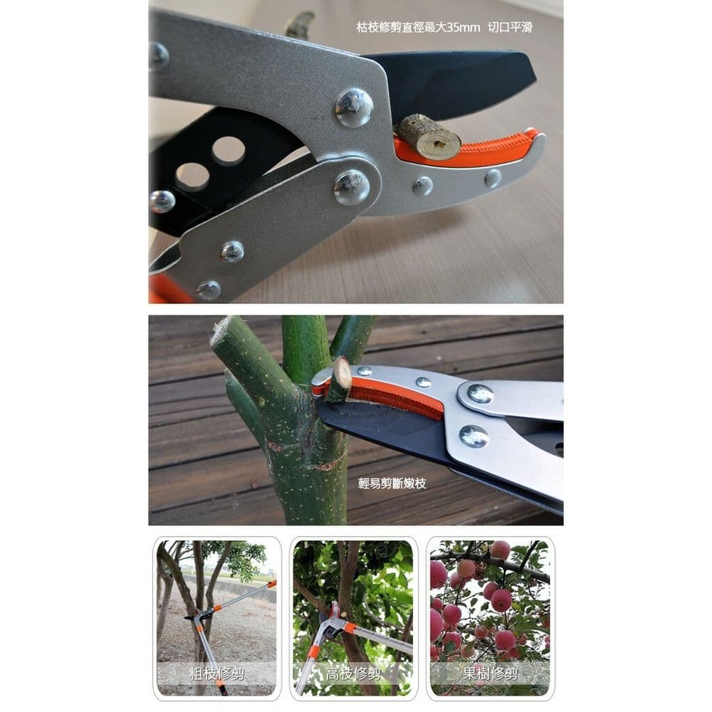 【太星電工】高碳鋼連桿式刀鉆伸縮樹枝剪 Y1Z3121TW