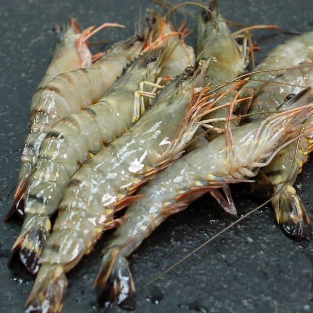 【築地一番鮮】馬來粗放草蝦8尾x5盒(250g/盒)