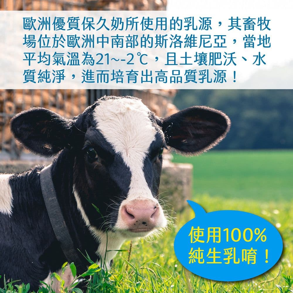 【Berti】歐洲寶貝優質保久牛奶1000mlx12罐/箱(採用100%純生乳)