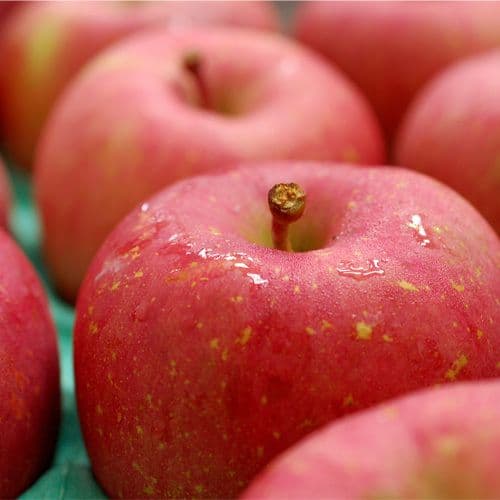 【築地一番鮮】S級|日本青森蜜富士蘋果|40顆/10kg|常溫配送