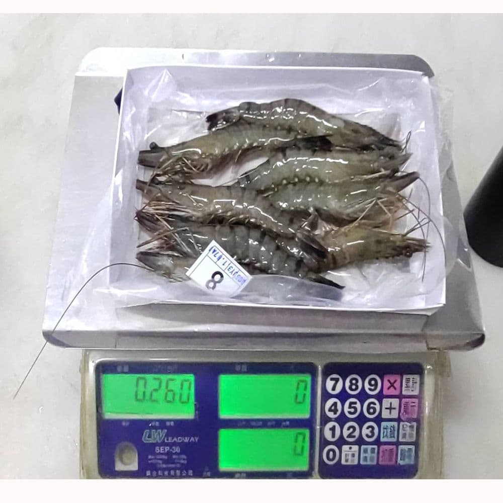 【華得水產】新鮮特大草蝦250g/8-10尾/盒
