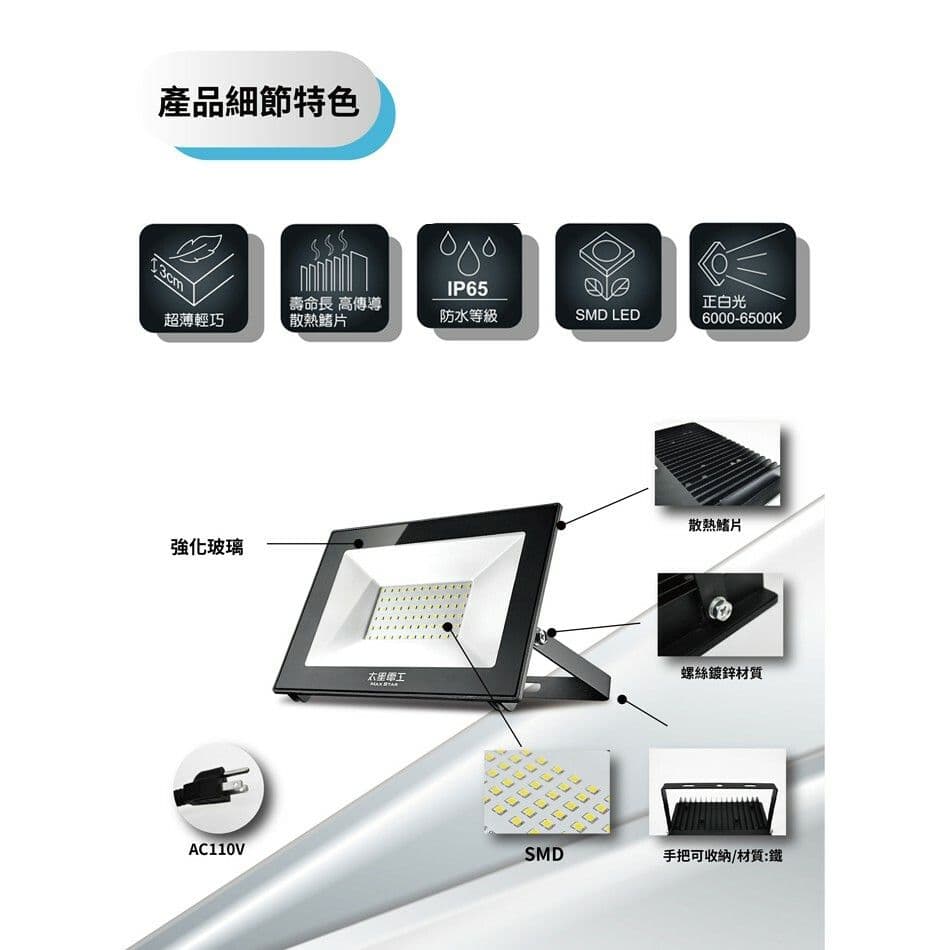 【太星電工】30WLED防水投射燈/110V/白光