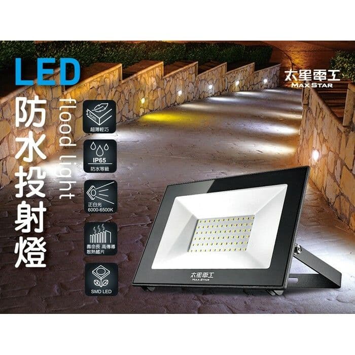 【太星電工】30WLED防水投射燈/110V/白光