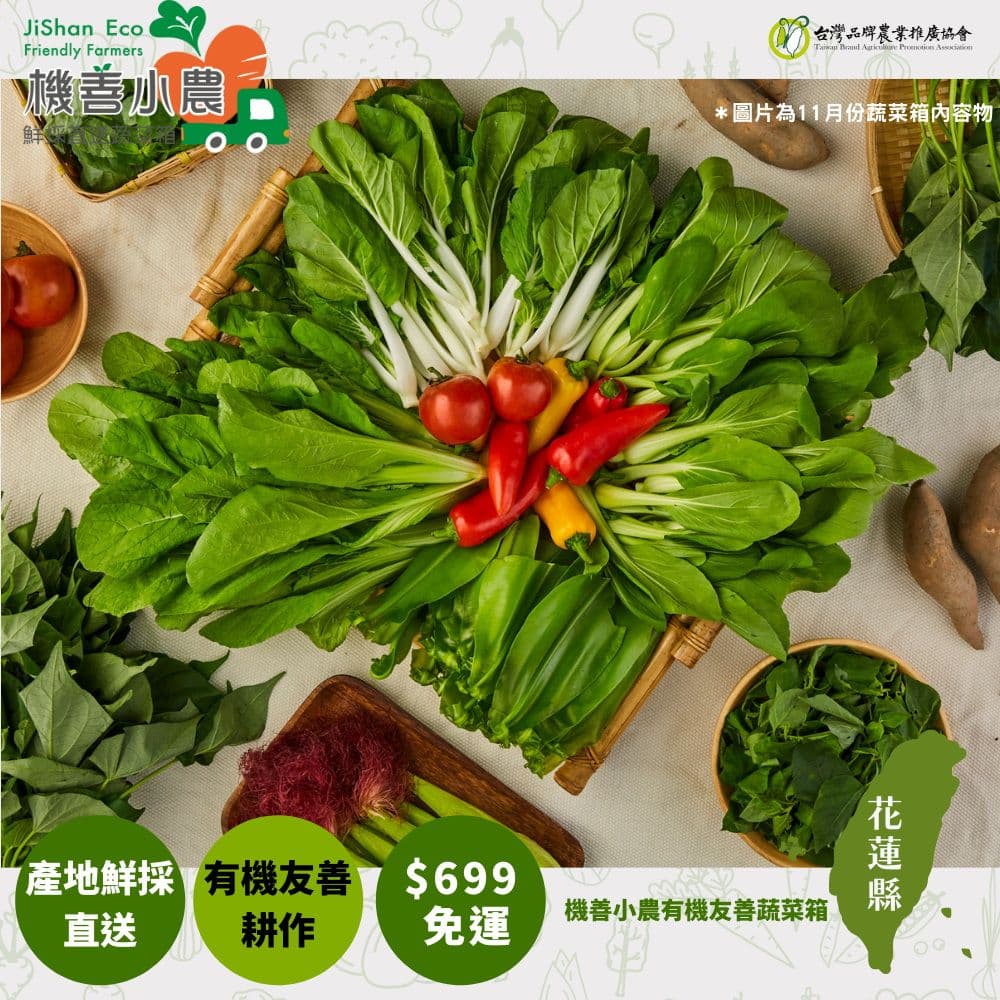 【機善小農】花蓮縣 蔬菜箱_經濟箱9件蔬菜箱(每週出箱)(有機友善/產地鮮採直送/支持家鄉好農產)