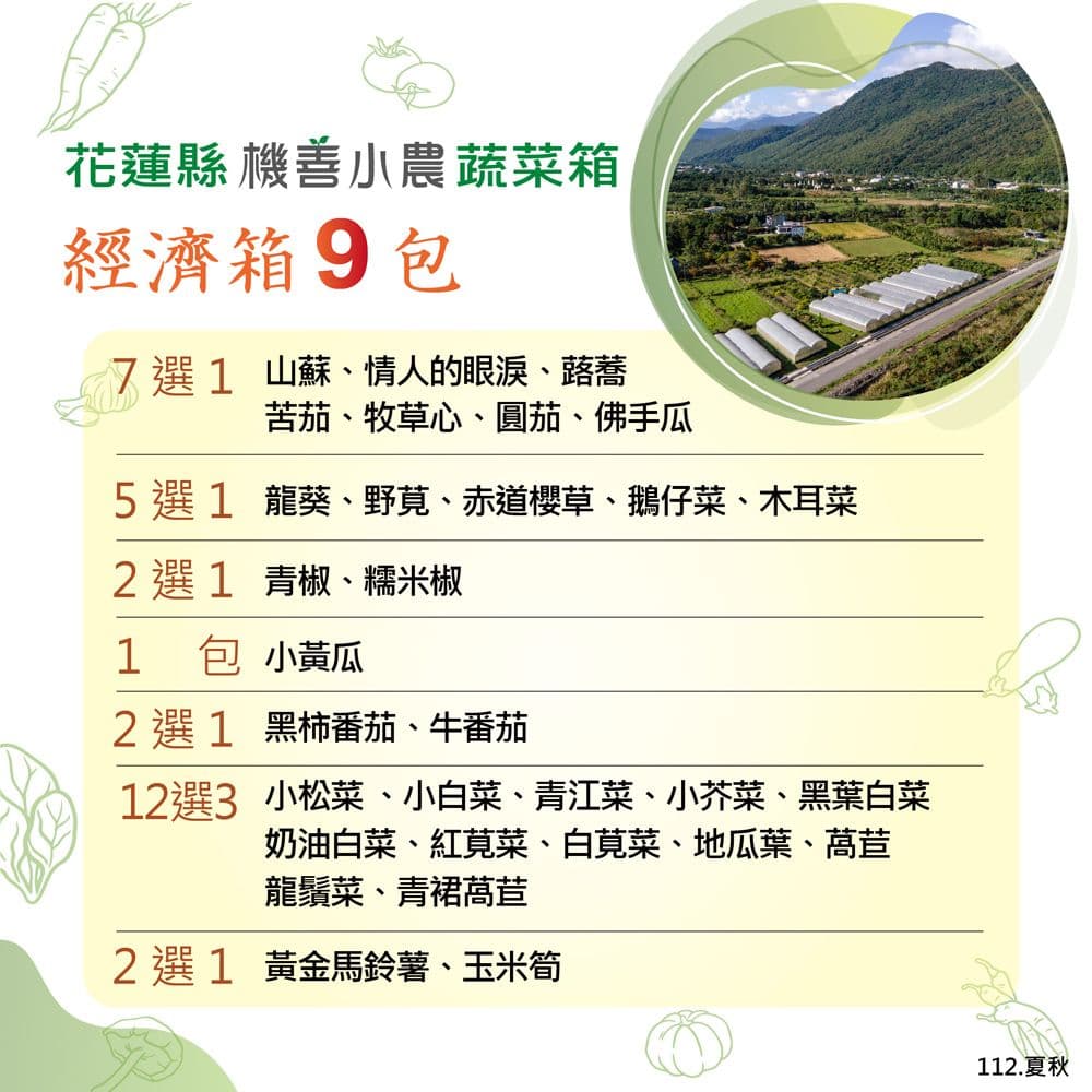 【機善小農】花蓮縣 蔬菜箱_經濟箱9件蔬菜箱(每週出箱)(有機友善/產地鮮採直送/支持家鄉好農產)