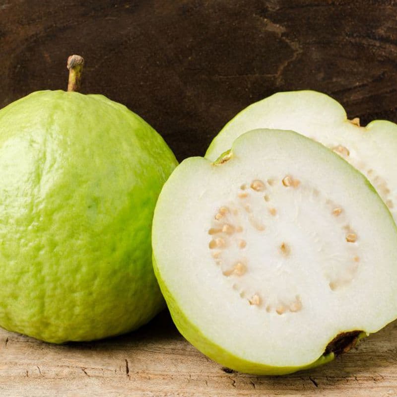 【一起買水果】(常溫預購)南投有機珍珠芭樂4.8公斤/箱 (約8台斤)  ※7個工作日內出貨