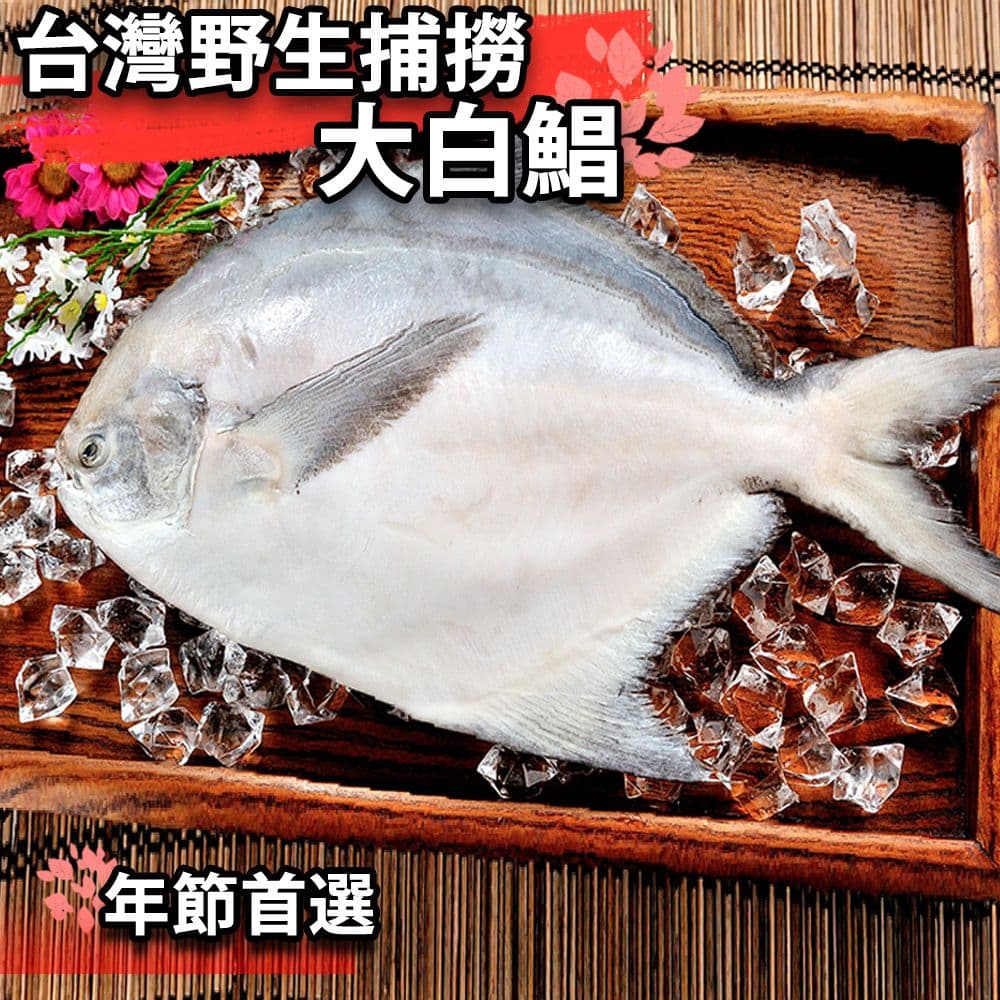 【鮮綠生活】(免運組)野生大白鯧500克 共2尾
