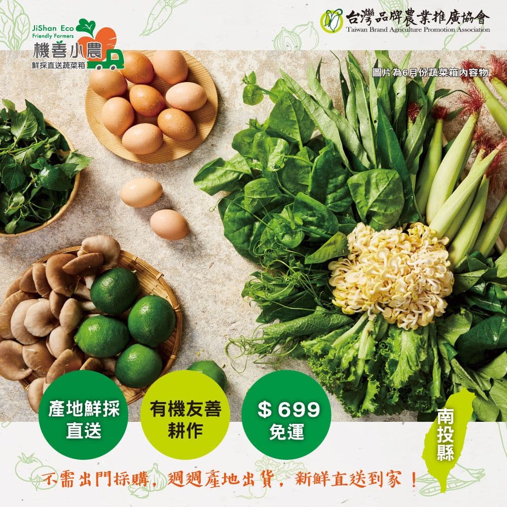 【機善小農】南投縣 蔬菜箱_經濟箱9件(每週出箱)(有機友善/產地鮮採直送/支持家鄉好農產)