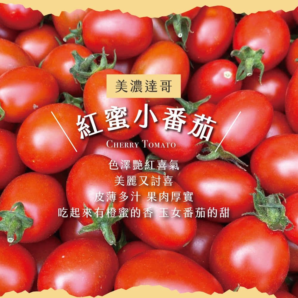 【初品果】美濃達哥紅蜜小番茄禮盒3斤x1盒(下單後7個工作天開始出貨)