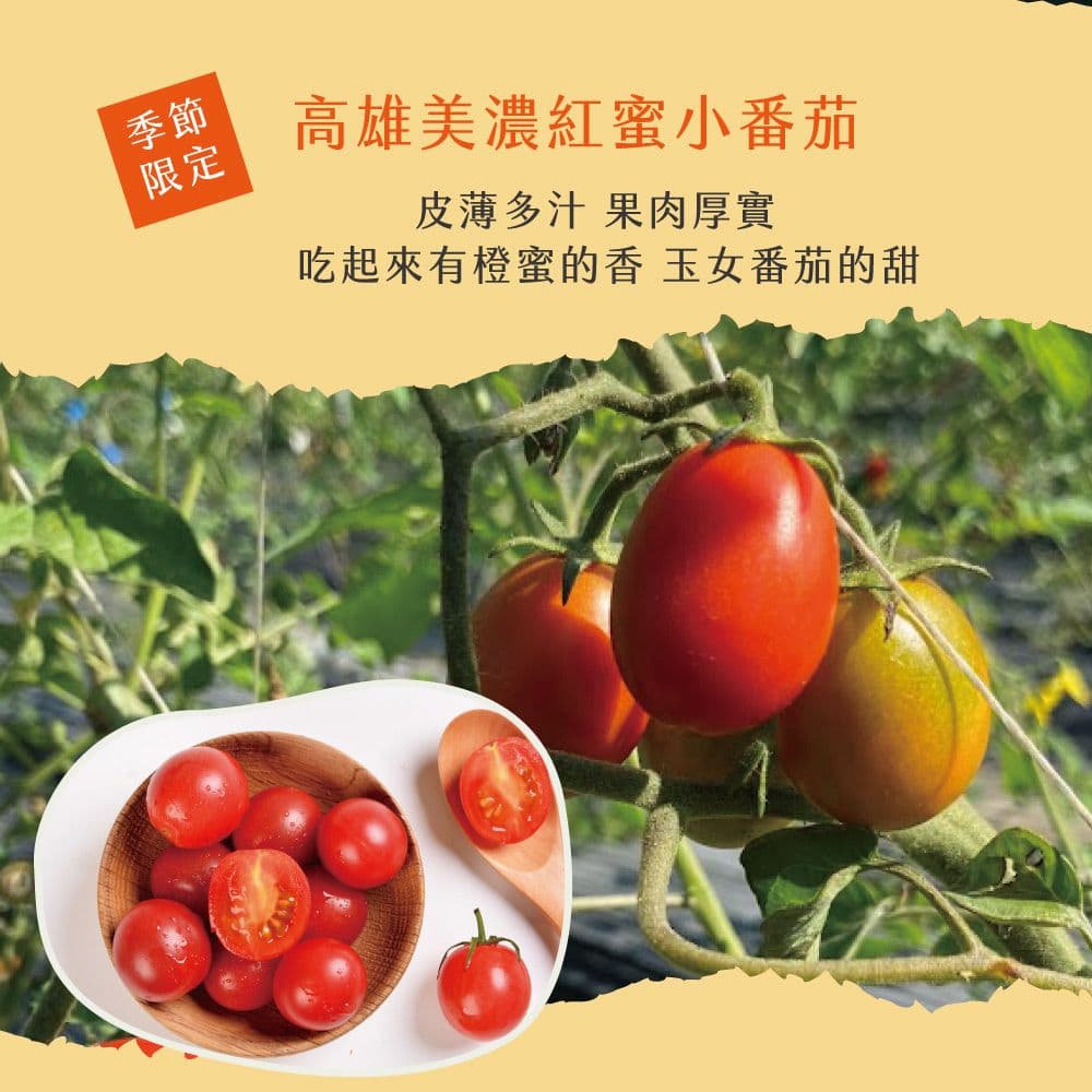【初品果】美濃達哥紅蜜小番茄禮盒3斤x1盒(下單後7個工作天開始出貨)