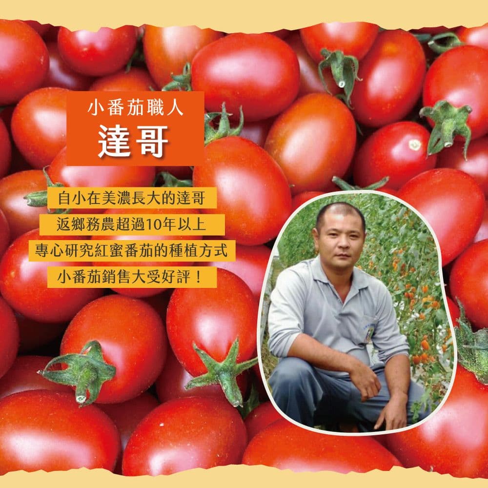 【初品果】美濃達哥紅蜜小番茄禮盒3斤x1盒(下單後7個工作天開始出貨)