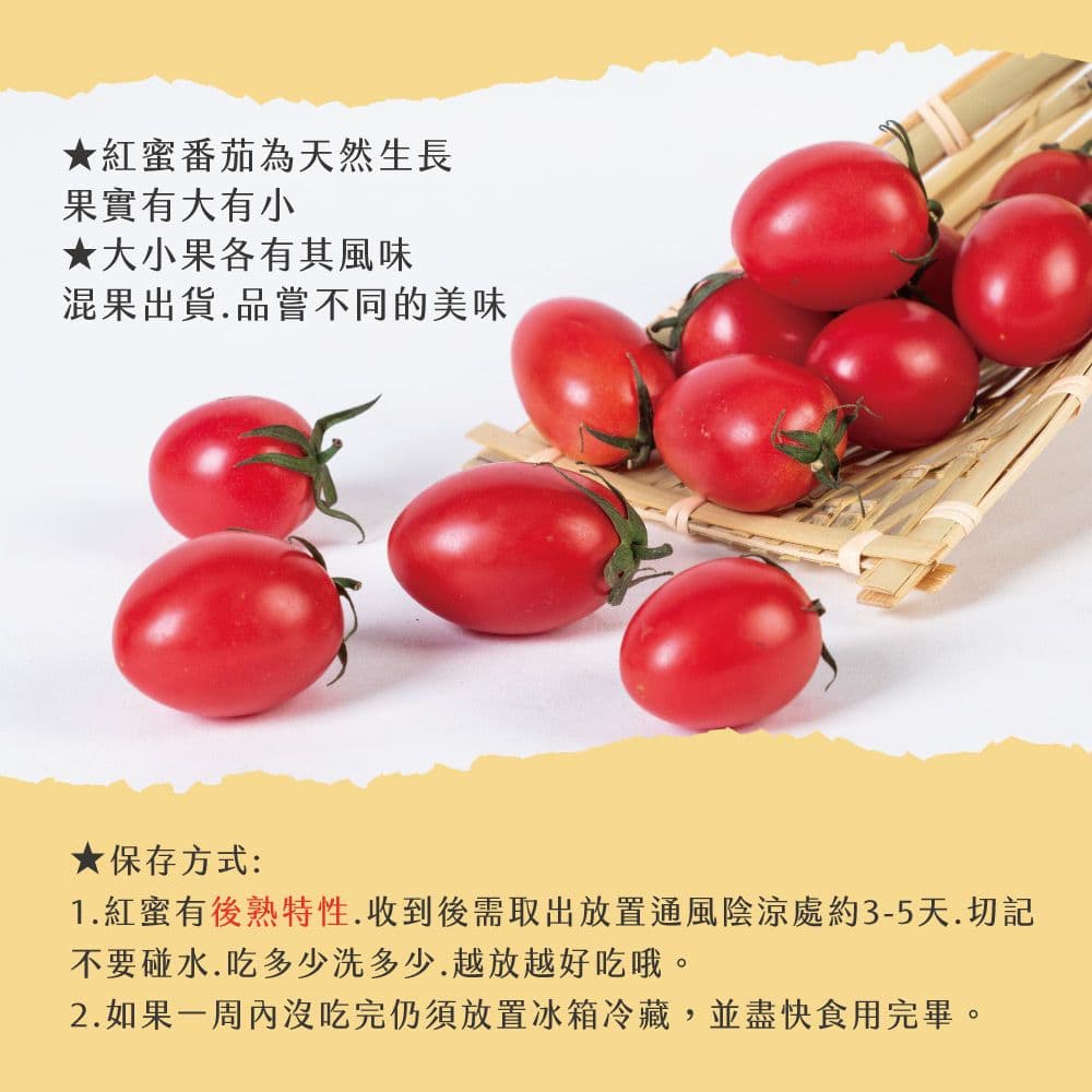 【初品果】美濃達哥紅蜜小番茄禮盒3斤x1盒(下單後7個工作天開始出貨)