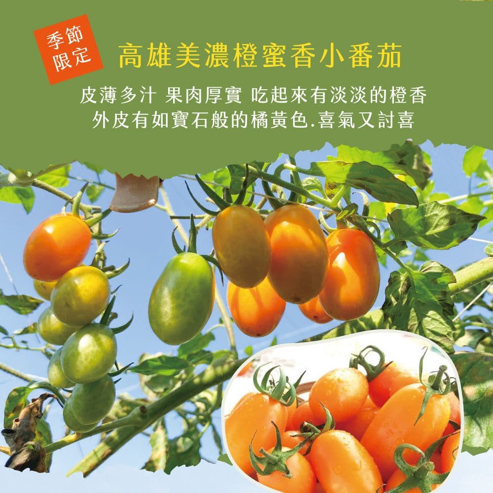 【初品果】美濃達哥雙色小番茄禮盒(橙蜜香+紅蜜)3斤x4盒_預購12/21開始陸續出貨