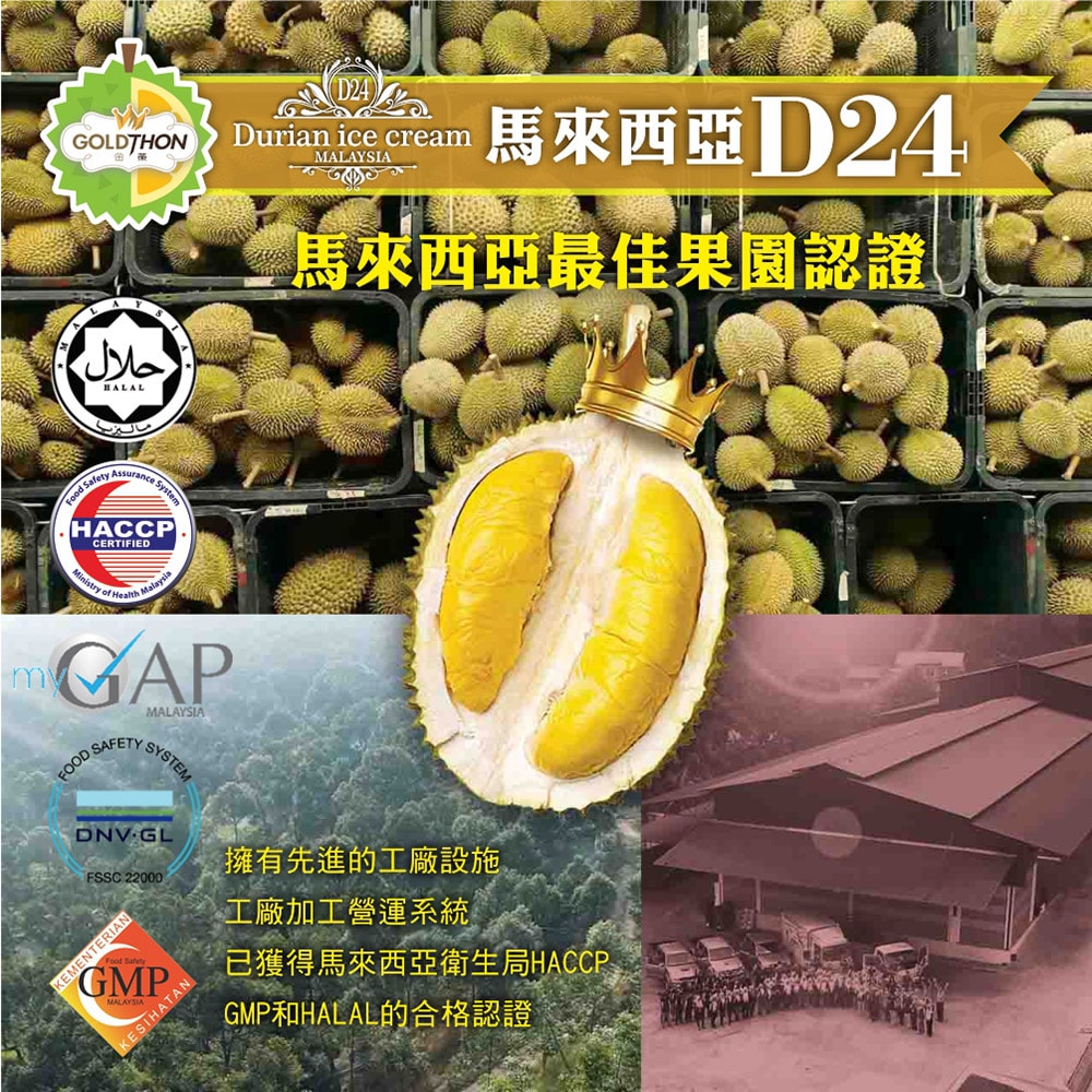 【Gold Thon】D24蘇丹王榴槤冰淇淋2盒/12杯禮盒裝(85公克/杯*12杯)