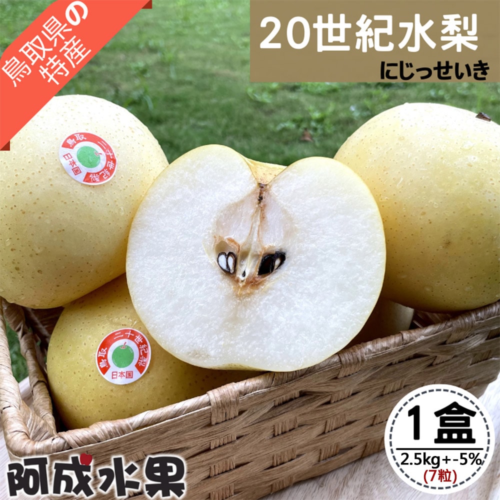 【阿成水果】日本鳥取二十世紀水梨 (7粒/2.5kg/盒)