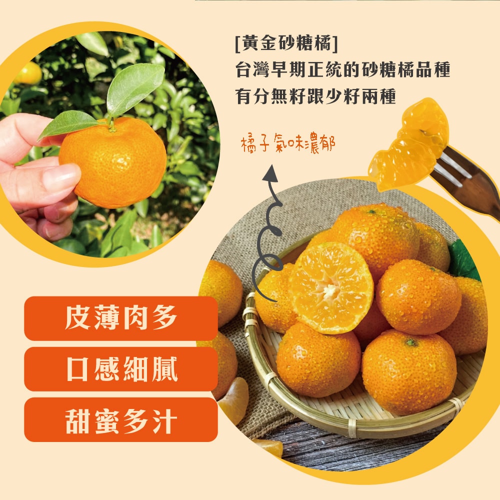 【初品果】【預購】拉拉山黃金砂糖橘禮盒3斤x1盒_12/15開始採收陸續出貨