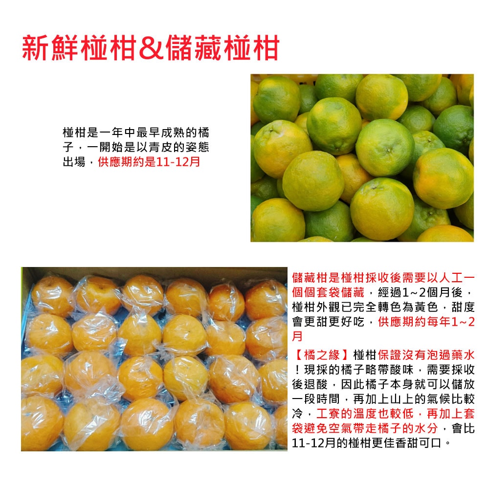 【橘之緣】預購 台中東勢椪柑橘子9台斤禮盒x1箱(27A等級_約21~23顆/箱_產地直送_常溫宅配)，下訂後5個工作天內出貨