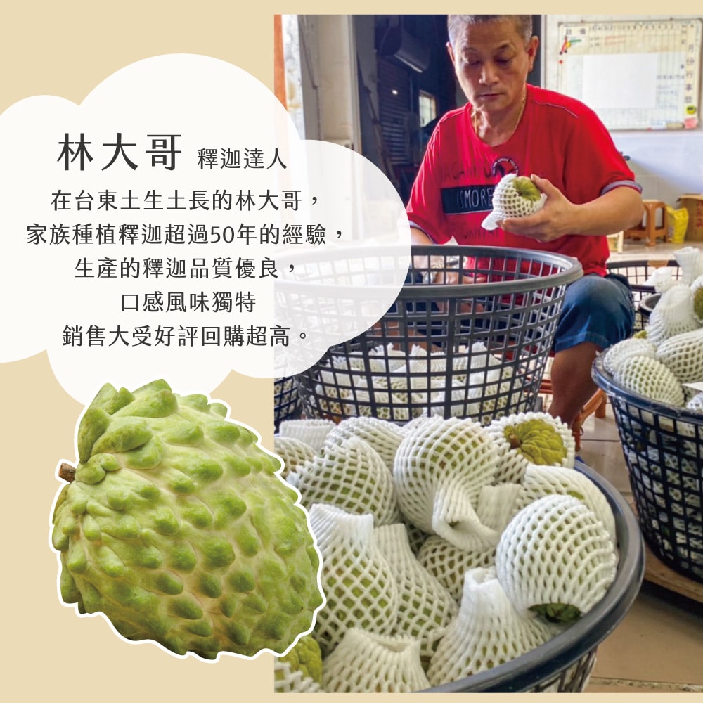 【初品果】台東知本鳳梨釋迦禮盒含箱重10斤x2箱_1/10開始陸續出貨.周五-周日及例假日前一天不出貨