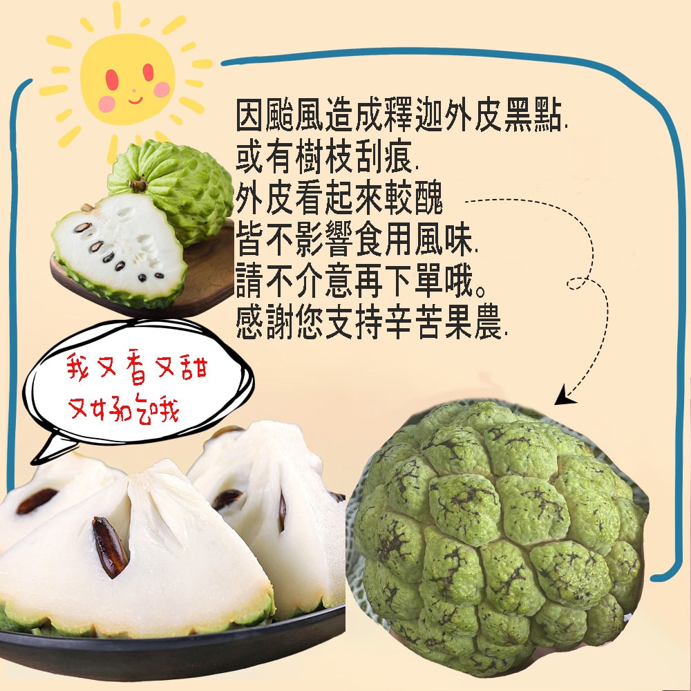 【初品果】台東知本鳳梨釋迦禮盒含箱重10斤x2箱_1/10開始陸續出貨.周五-周日及例假日前一天不出貨