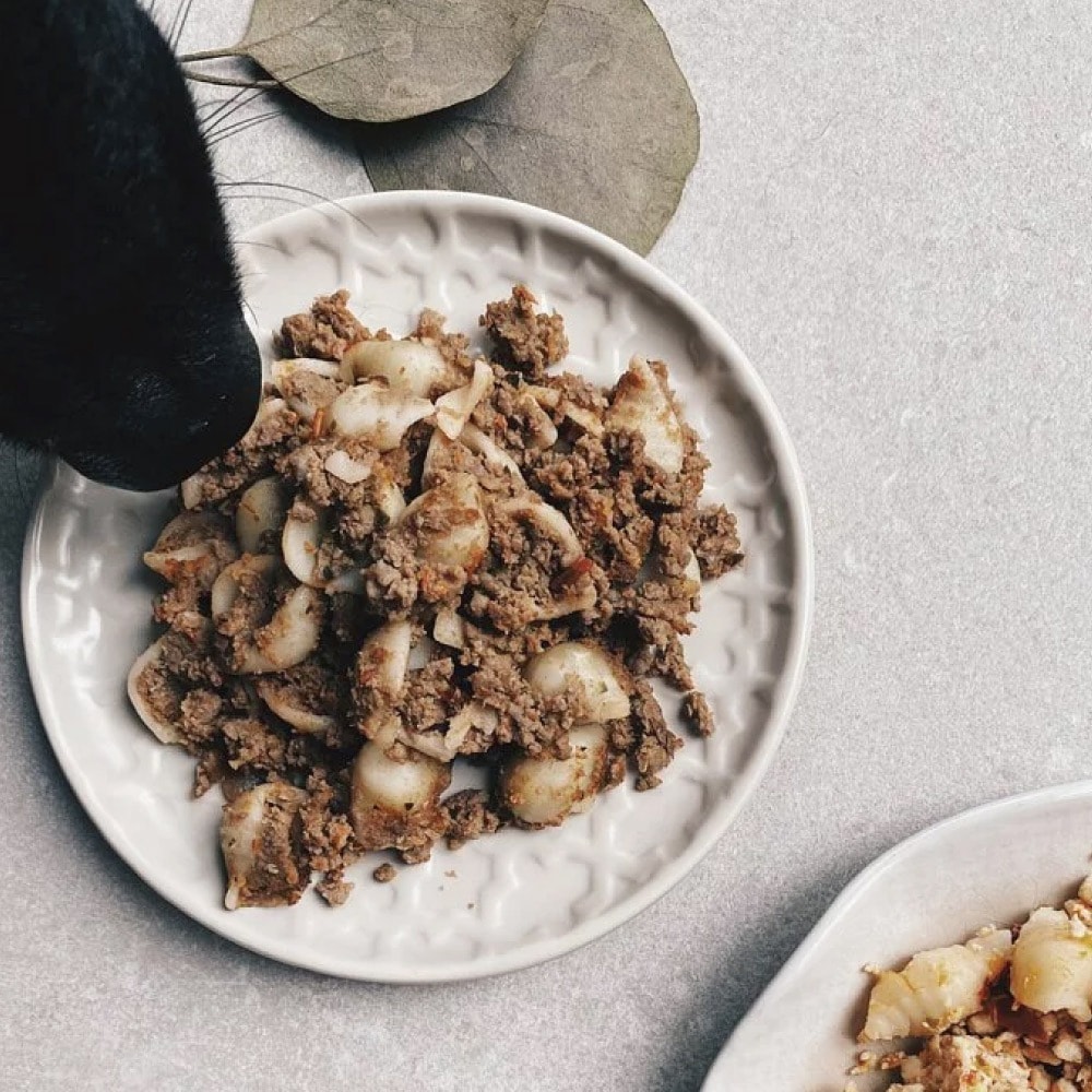 【汪事如意】綜合 義大利麵｜犬主餐 30包 (迷迭香雞x15+番茄牛x15)