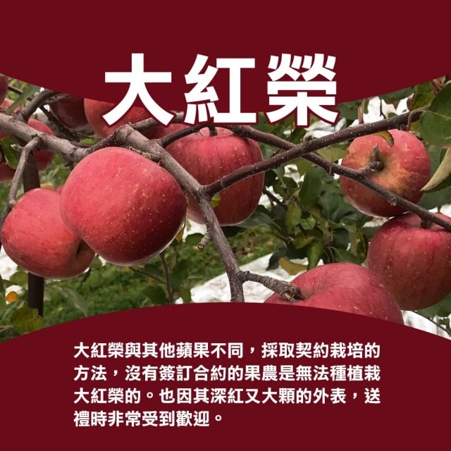 【甜露露】日本青森大紅榮蘋果26-28粒頭26-28入x1箱(10kg±10%)