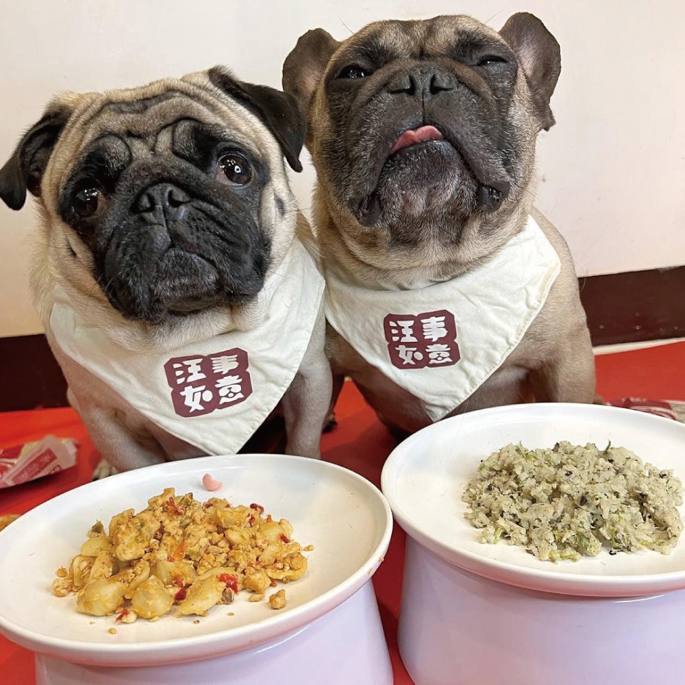 【汪事如意】綜合 義大利麵｜犬主餐 30包 (迷迭香雞x15+番茄牛x15)