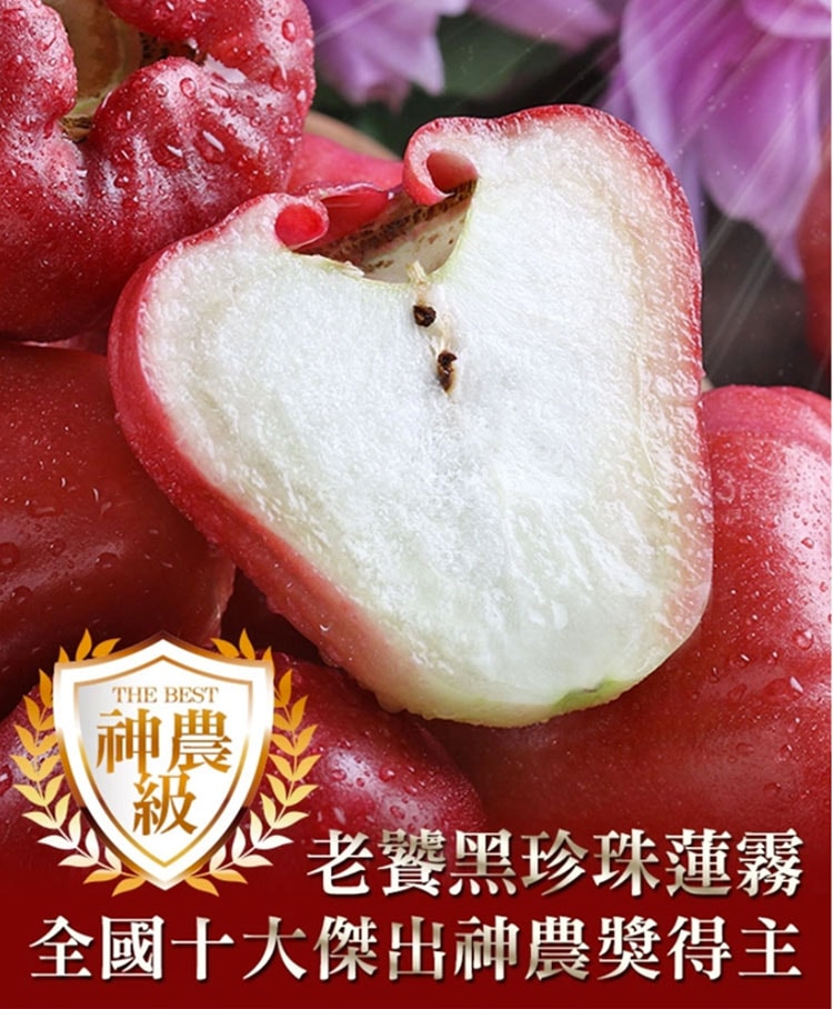 【愛上新鮮】老饕級-神農黑珍珠蓮霧2箱(2.4kg/箱;約22~25顆裝) 預購 冷藏配送