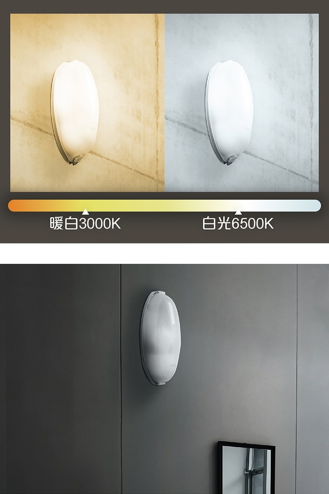 【太星電工】典雅美術壁燈(含E27/10W 暖白光LED燈泡)/2入 WH810L*2